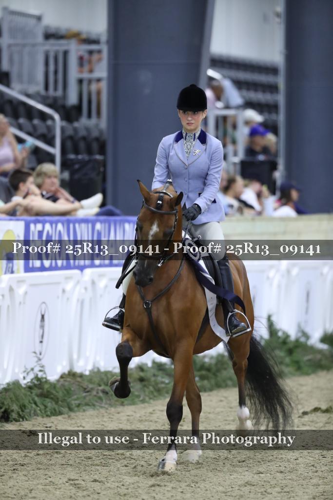 Proof 25R13_09141