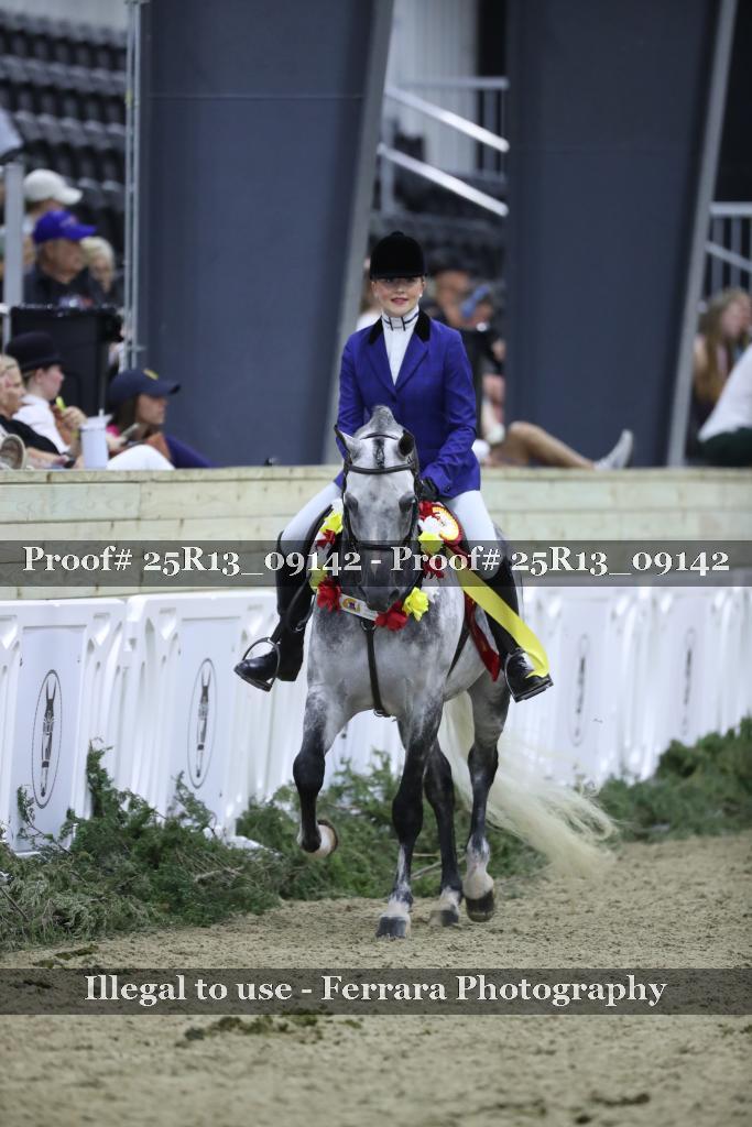 Proof 25R13_09142