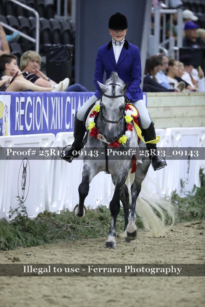 Proof 25R13_09143