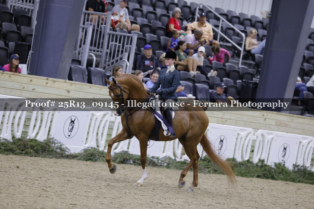 Proof 25R13_09145