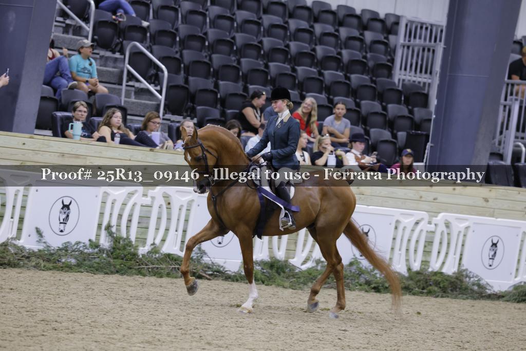 Proof 25R13_09146