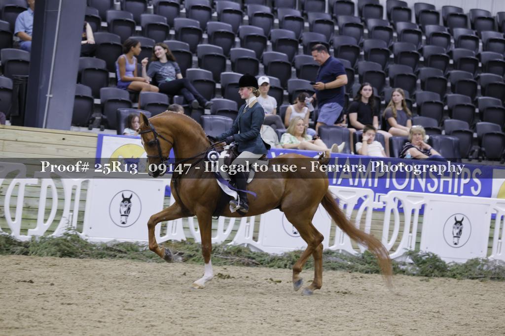 Proof 25R13_09147