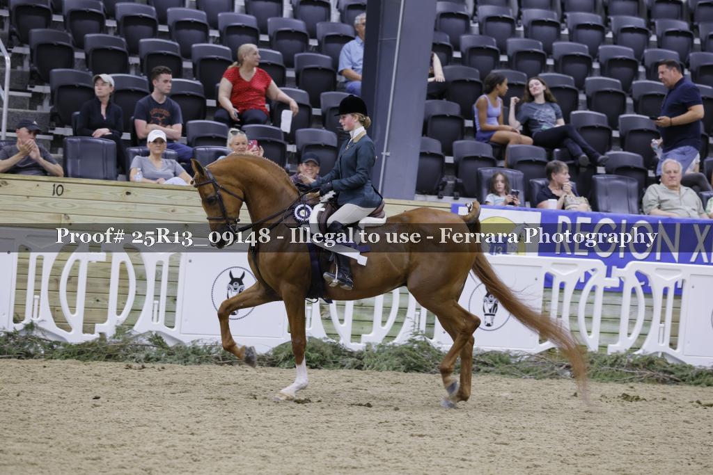 Proof 25R13_09148