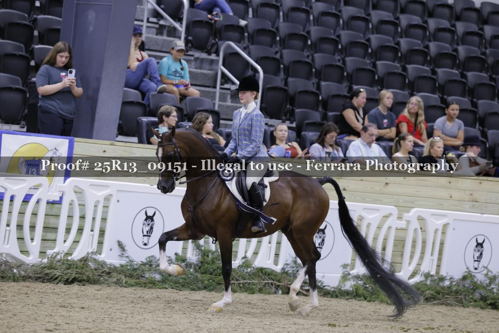 Proof 25R13_09151