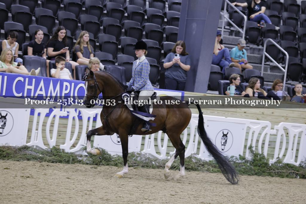Proof 25R13_09153