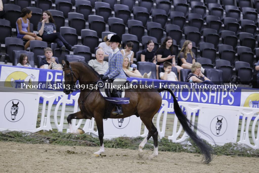 Proof 25R13_09154
