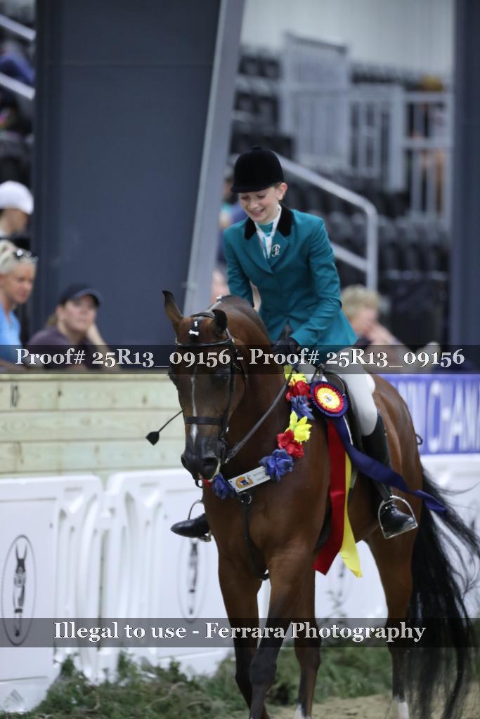 Proof 25R13_09156