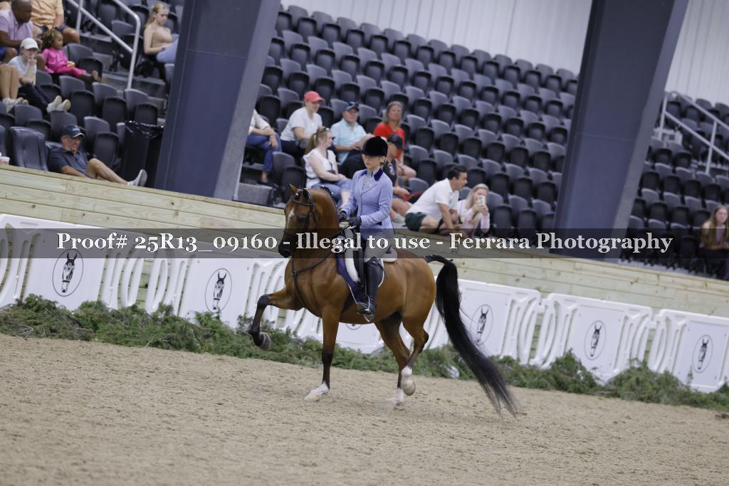Proof 25R13_09160