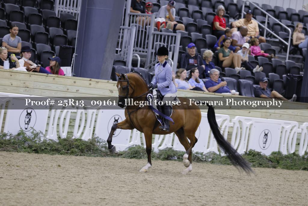 Proof 25R13_09161