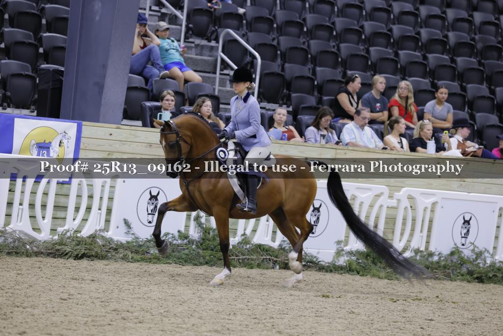 Proof 25R13_09162