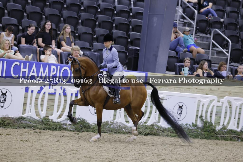 Proof 25R13_09163