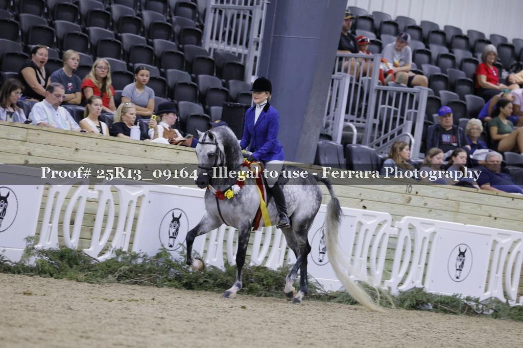 Proof 25R13_09164