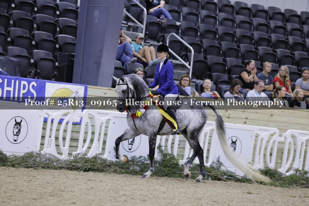 Proof 25R13_09165