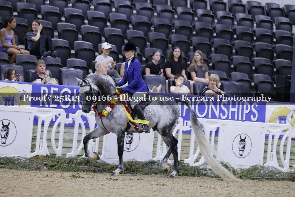 Proof 25R13_09166