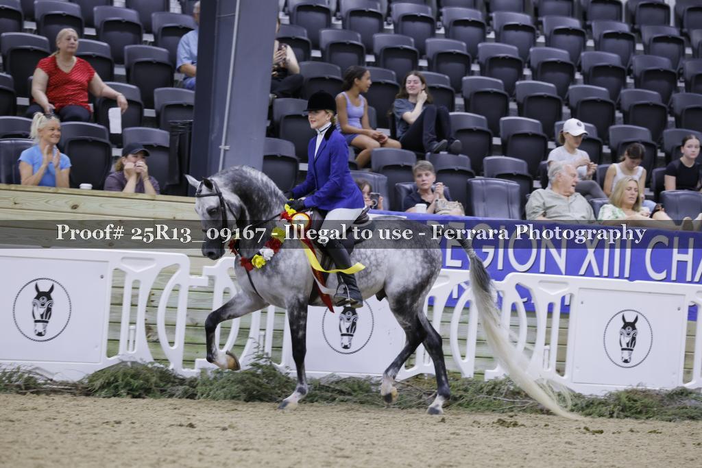 Proof 25R13_09167