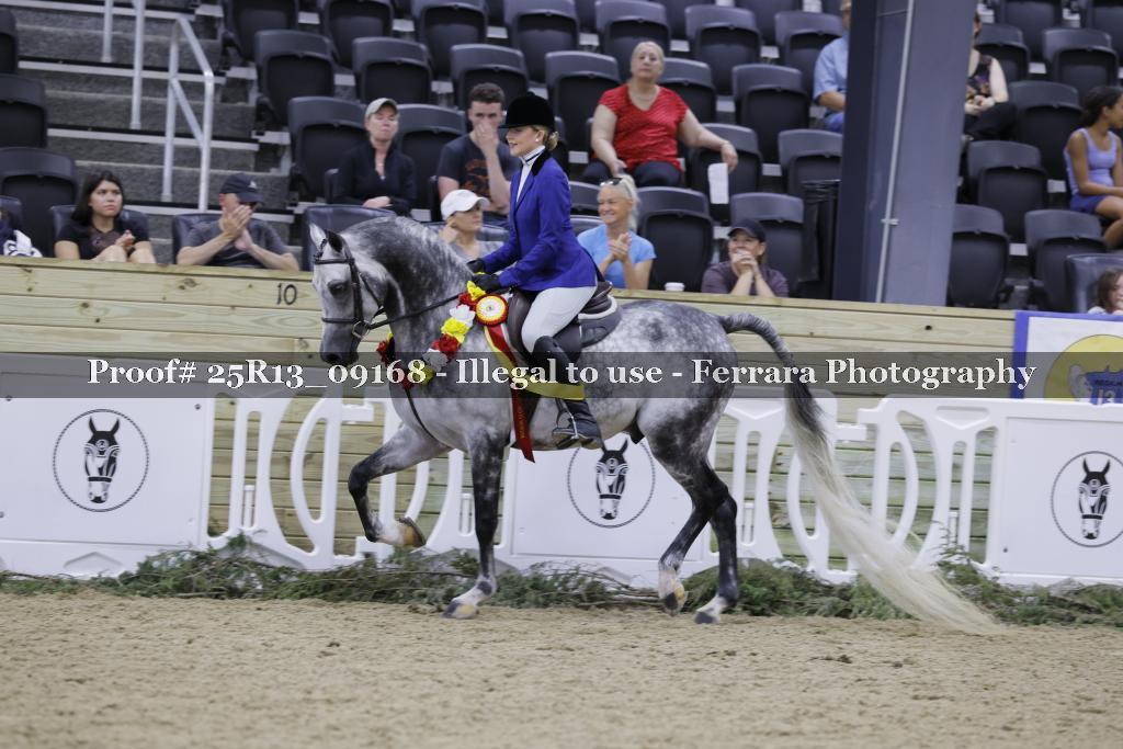 Proof 25R13_09168