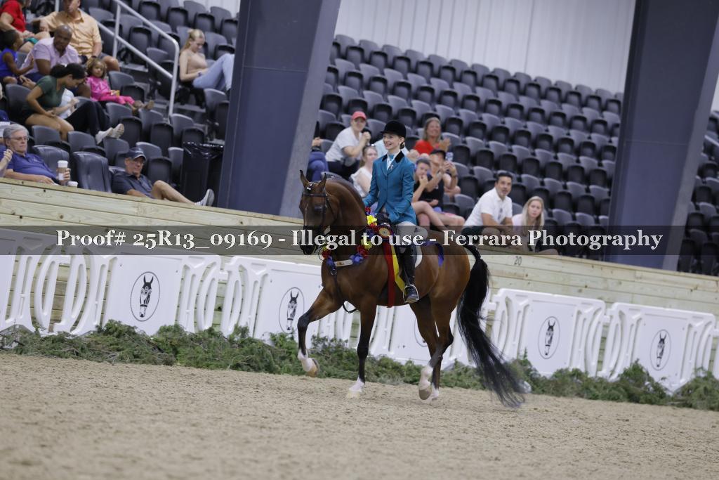 Proof 25R13_09169