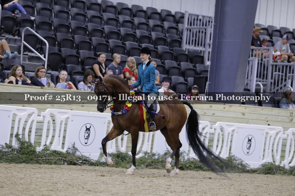 Proof 25R13_09171