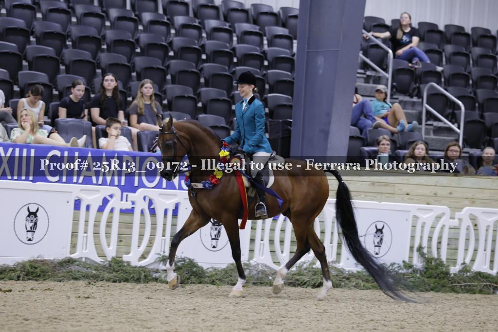 Proof 25R13_09172