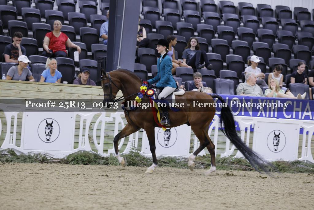 Proof 25R13_09173