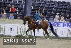 25R13_09173 proof