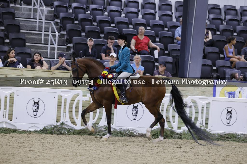 Proof 25R13_09174