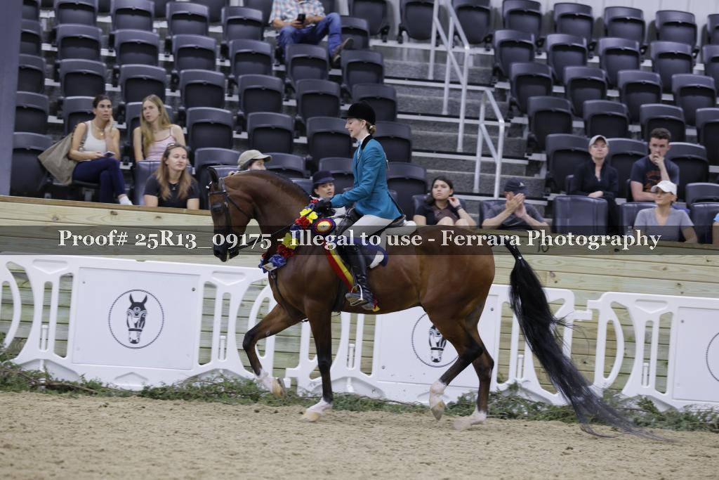 Proof 25R13_09175