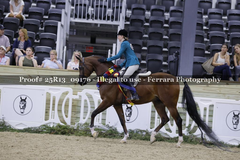 Proof 25R13_09176
