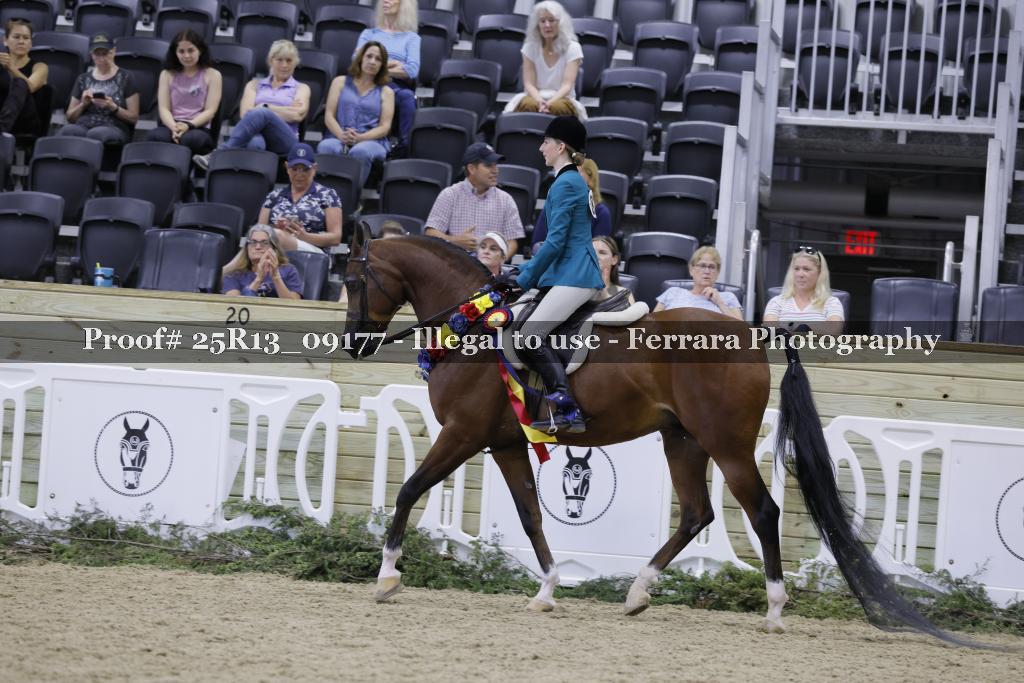 Proof 25R13_09177