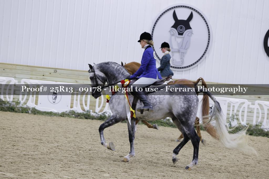 Proof 25R13_09178