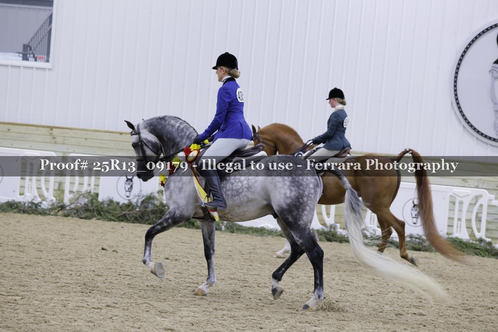 Proof 25R13_09179