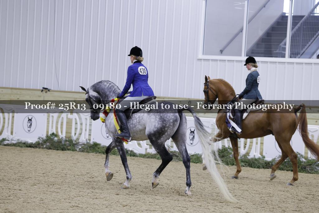Proof 25R13_09180
