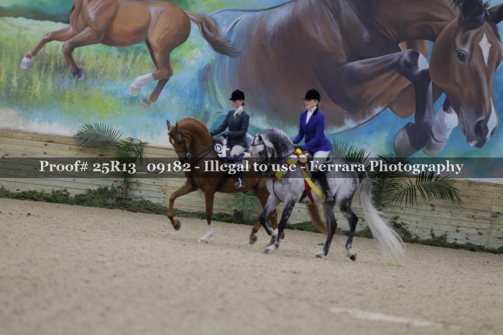 Proof 25R13_09182