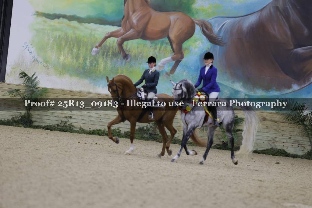 Proof 25R13_09183