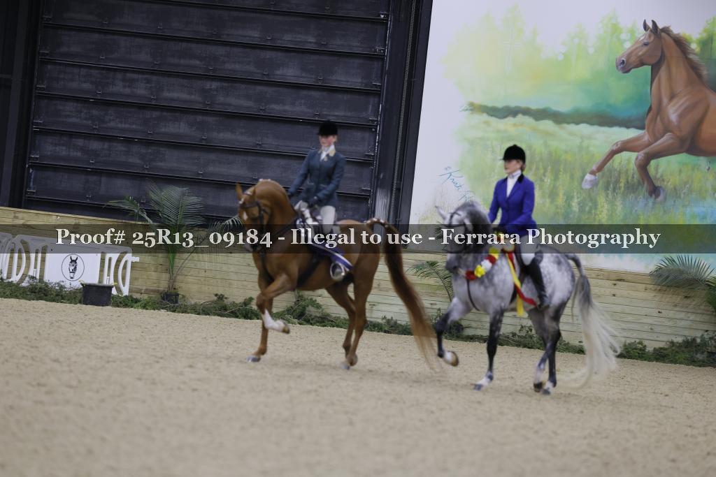 Proof 25R13_09184