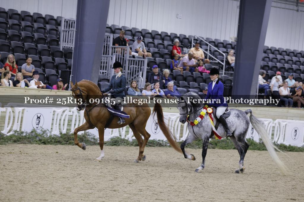 Proof 25R13_09185