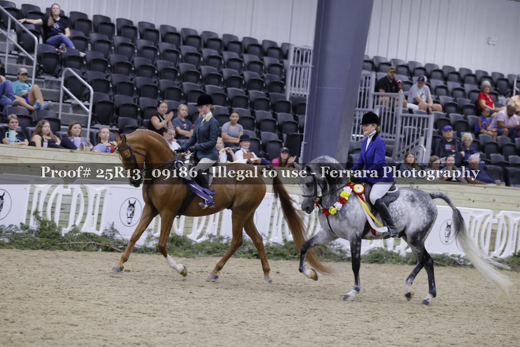 Proof 25R13_09186