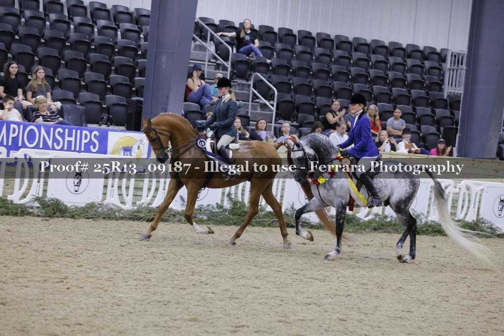 Proof 25R13_09187