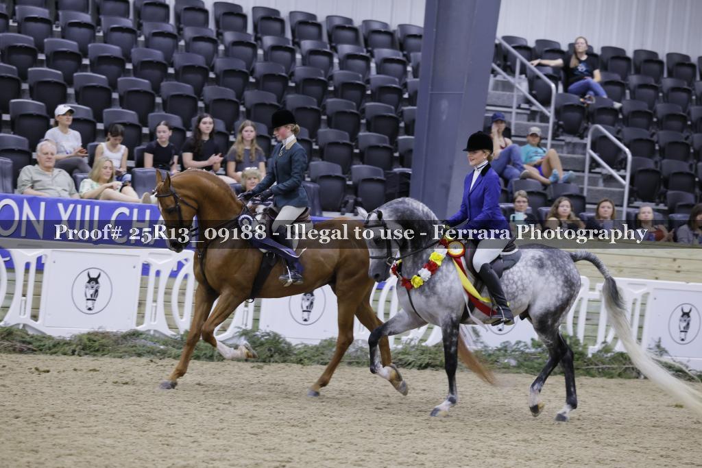 Proof 25R13_09188