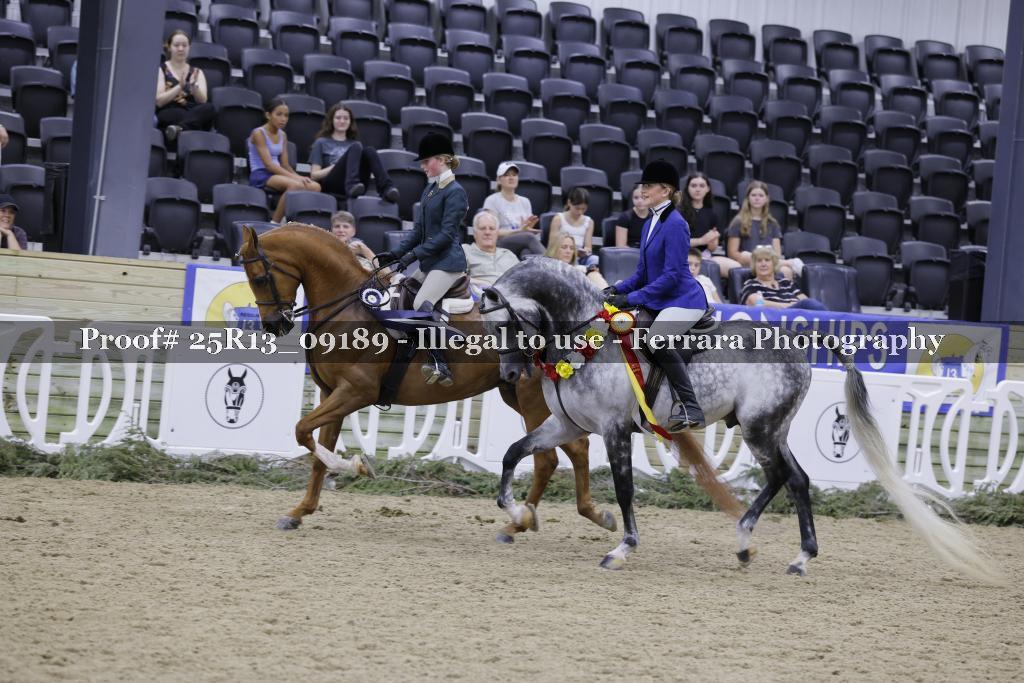 Proof 25R13_09189