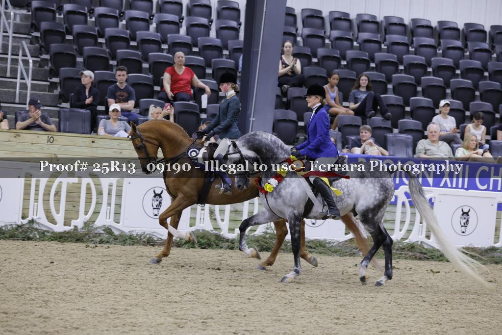 Proof 25R13_09190