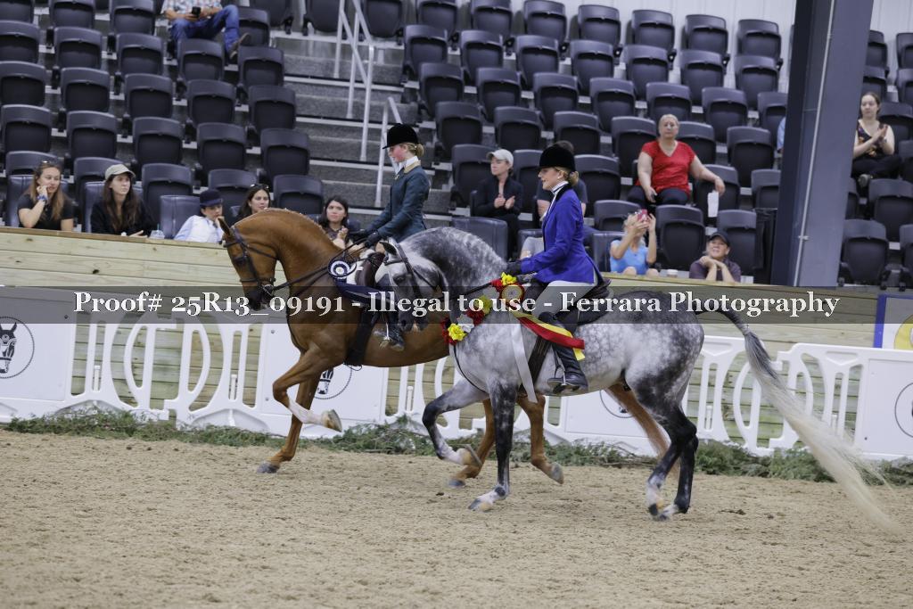 Proof 25R13_09191