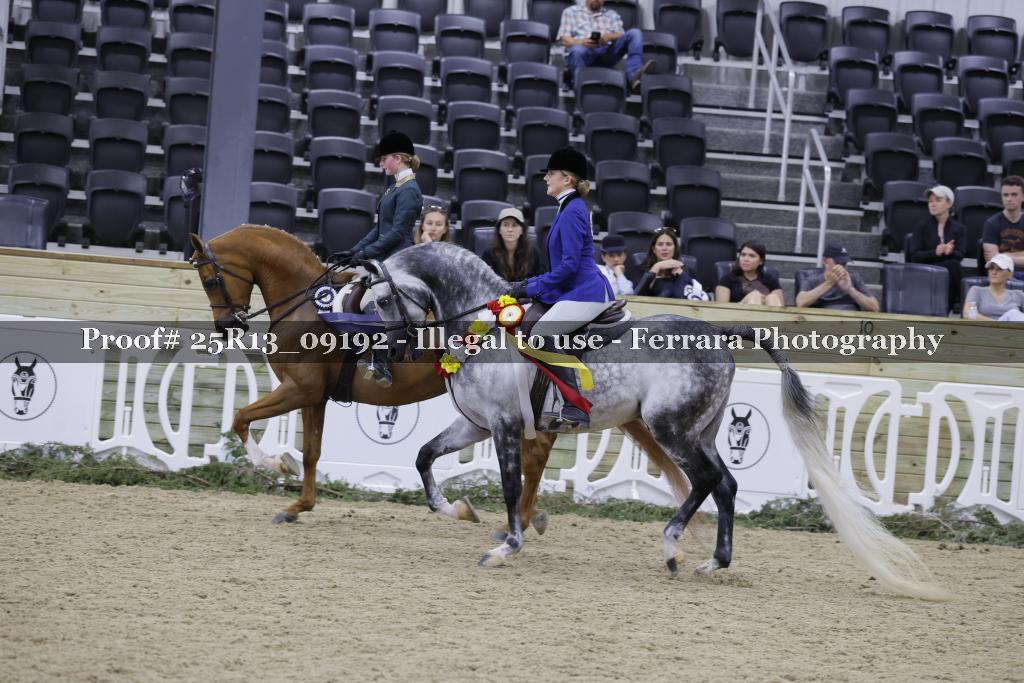 Proof 25R13_09192