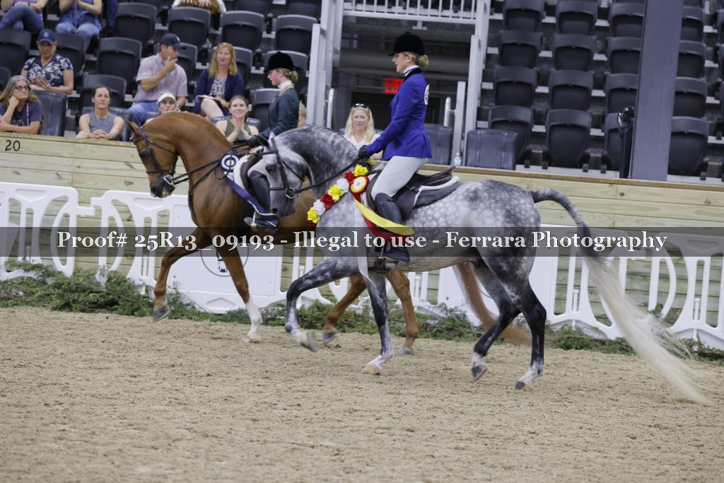 Proof 25R13_09193