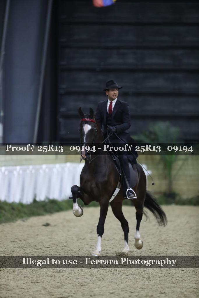 Proof 25R13_09194