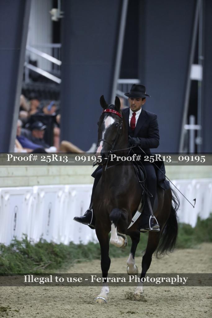 Proof 25R13_09195