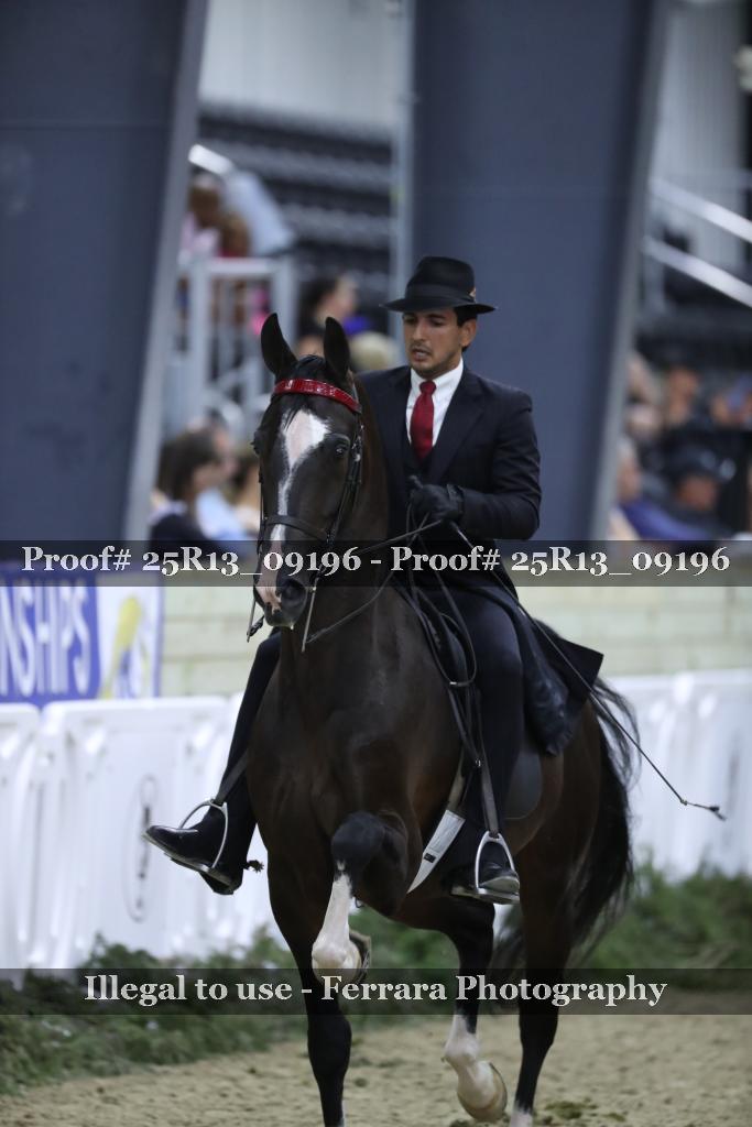 Proof 25R13_09196