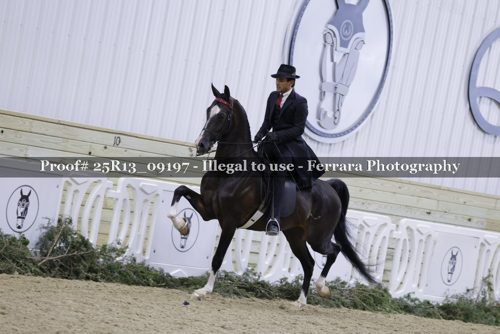 Proof 25R13_09197