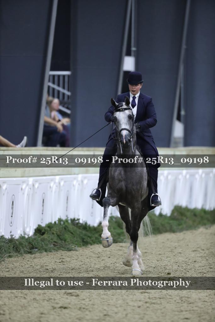Proof 25R13_09198