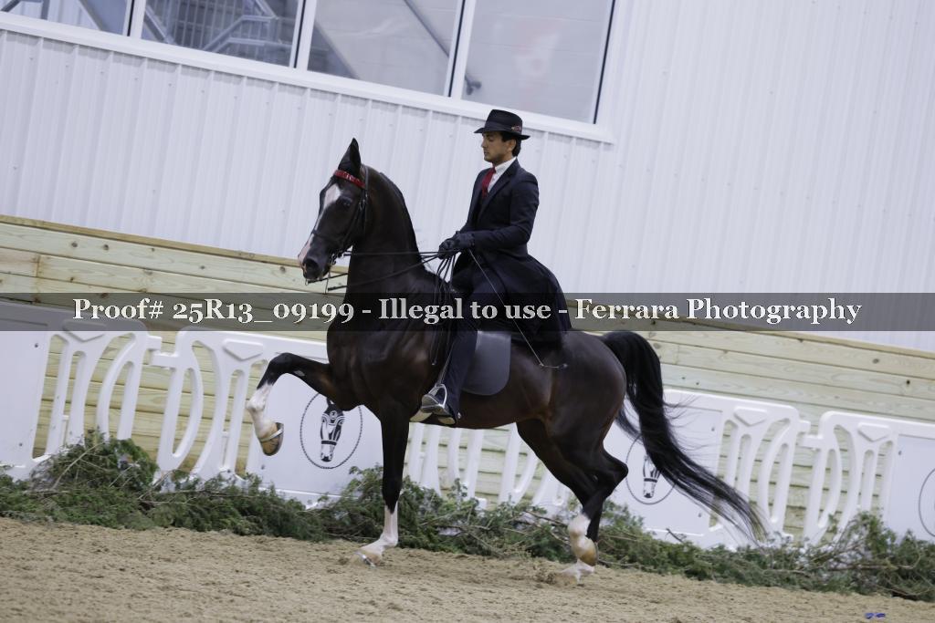 Proof 25R13_09199